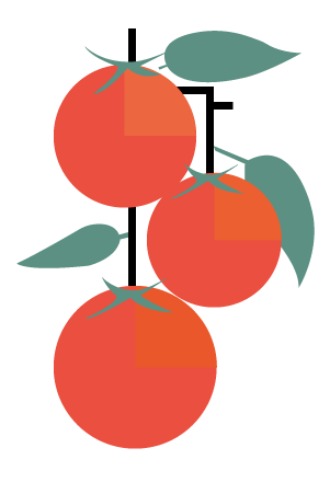 tomatoes geometric shape